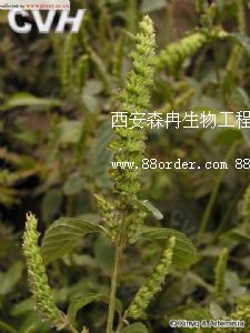 �W(w��ng)�j���N��޸��ȡ��