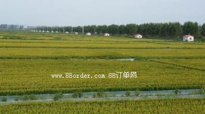 �P�\����