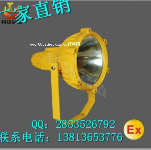 光大EBF603防水防震投光燈EBF603防爆投光燈