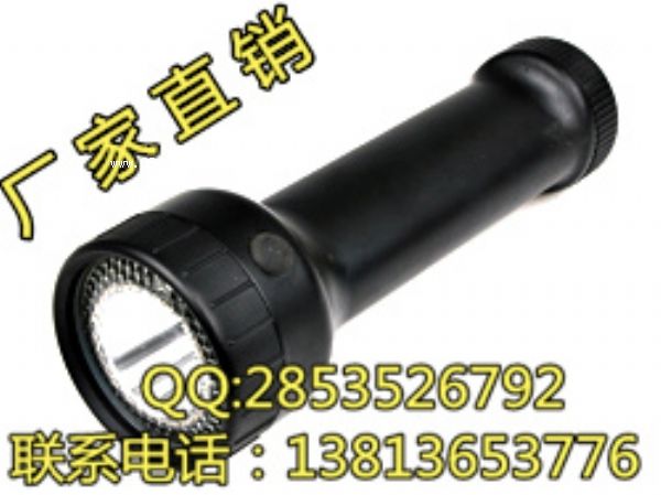 BAD209防爆手提強(qiáng)光工作燈