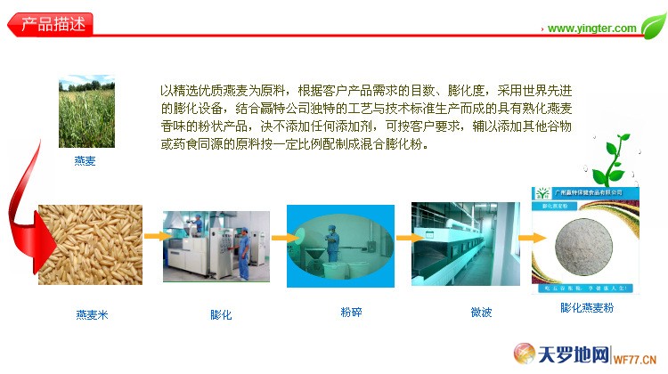 gw03������