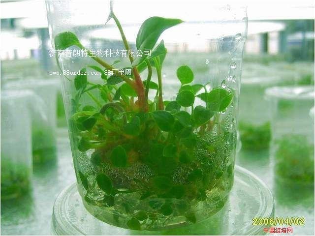 ��������������Ƽ����޹�˾