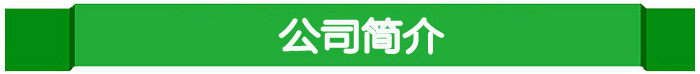 公司簡(jiǎn)介