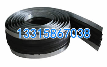 һ�����g���׵��߅���zֹˮ��