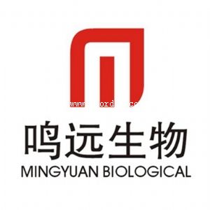 �B�T�Q�h(yu��n)����Ƽ����޹�˾